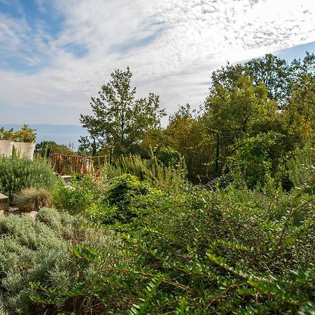 Villa Luce Labin  Esterno foto